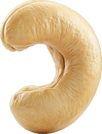 Cashew